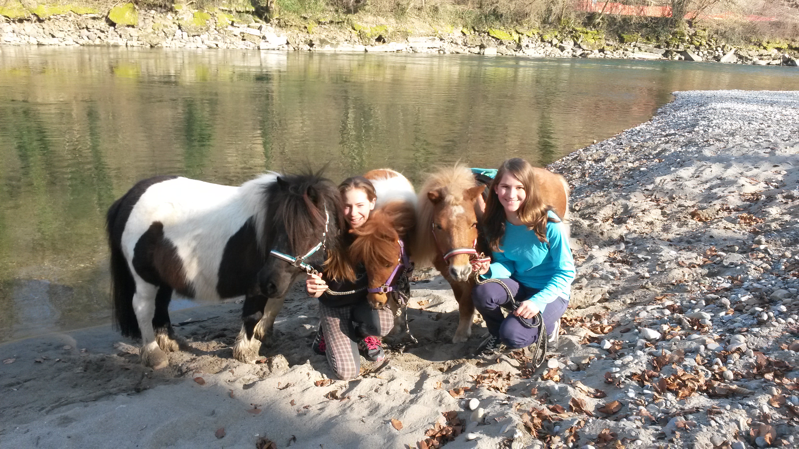 Wir und die Ponys an der Aare! 